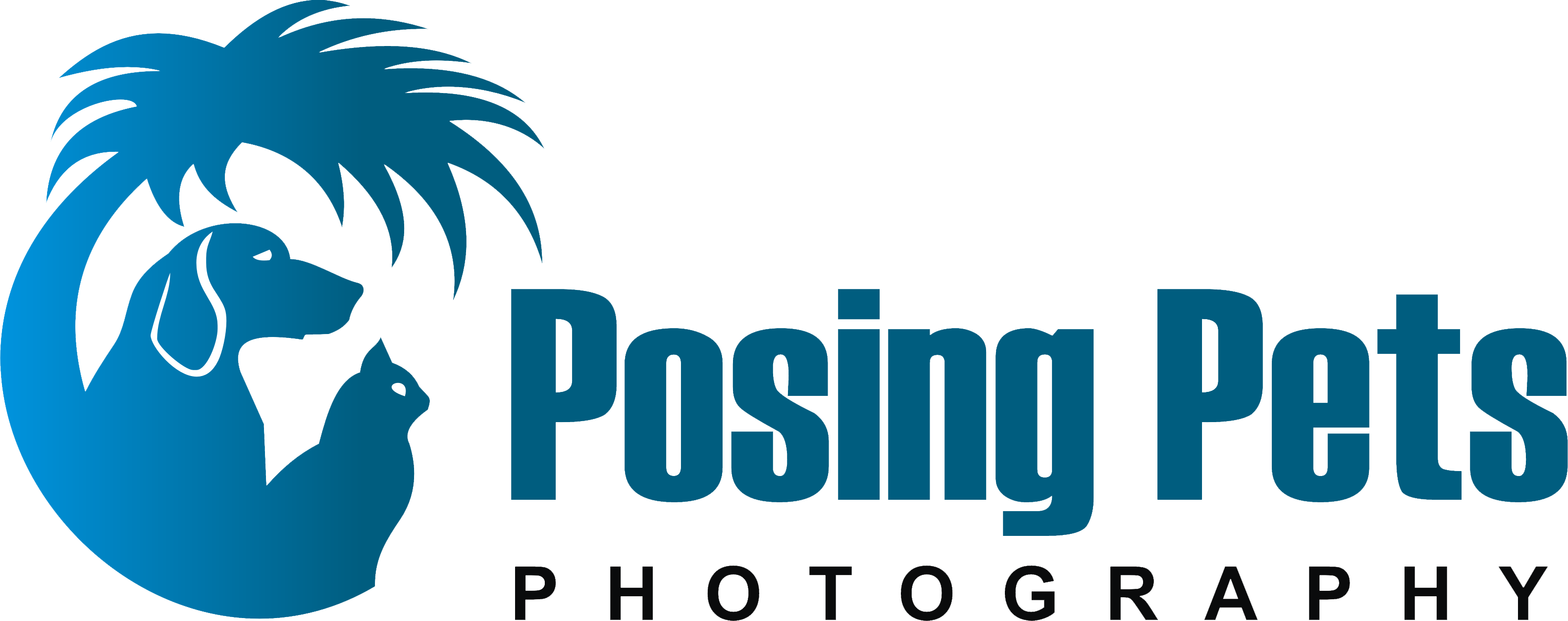 logo (3)